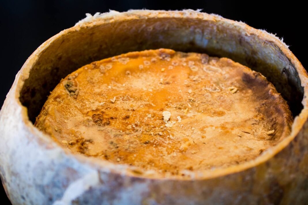 KARIKI_EVRIPIDIS-APOSTOLIDIS