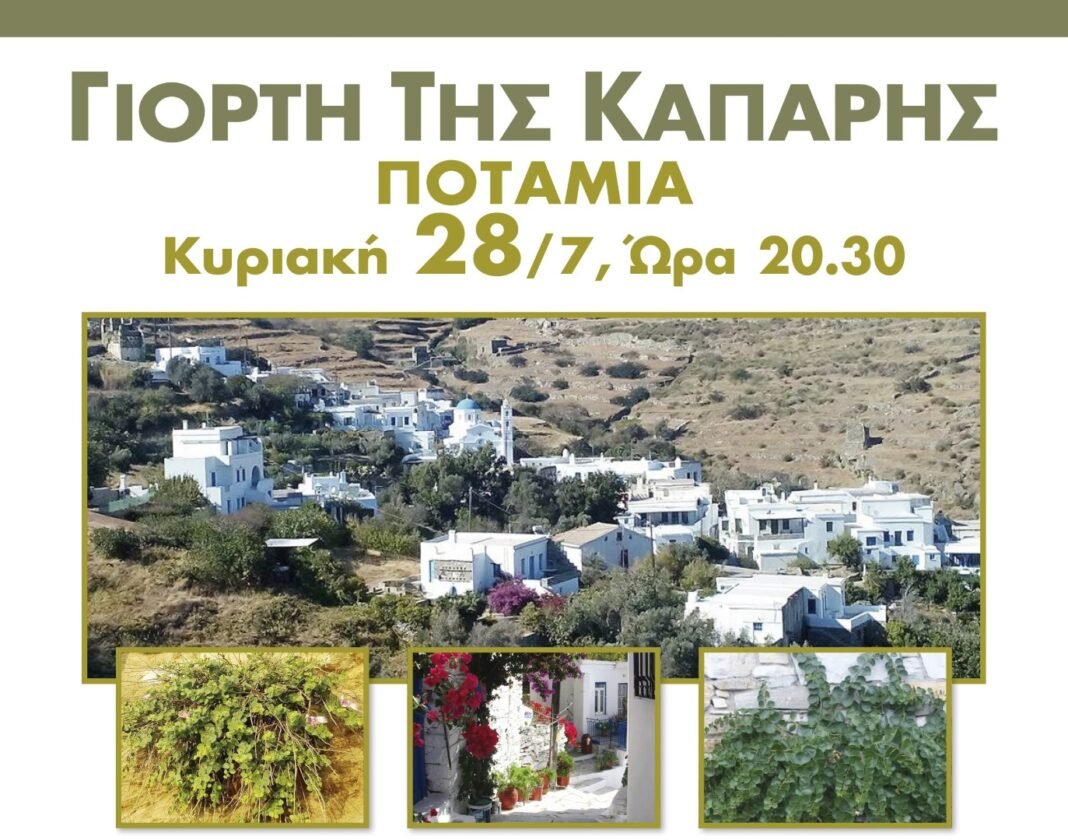 syl_potamias_kapari_poster_2024 (1) (Large)
