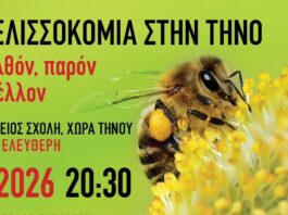 Η μελισσοκομία στην Τήνο: παρελθόν, παρόν και μέλλον