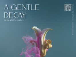 Έκθεση φωτογραφίας του Sebastiaan Croonen με τίτλο «A Gentle Decay»