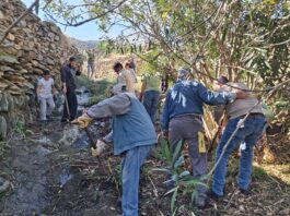 Εθελοντική δράση στην Κώμη Τήνου: Καθαρίστηκε το λαγκάδι και η πηγή της Μεσιανής
